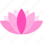 lotus, flower 