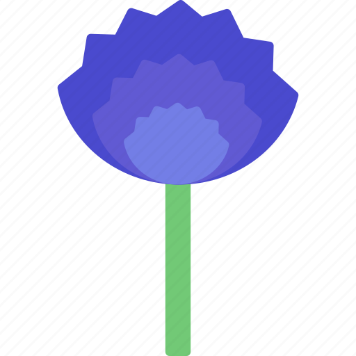 Chive, blossoms, flower, plant icon - Download on Iconfinder