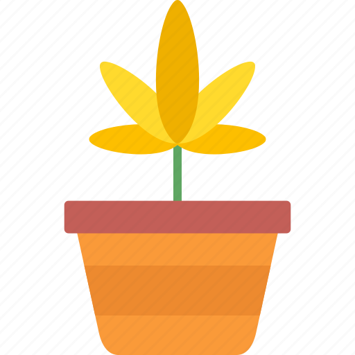 Pineappleweed, flower, blossom, plant, nature icon - Download on Iconfinder