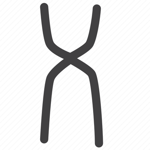 Body, cell, chromosome, healthy, medical, science icon - Download on Iconfinder