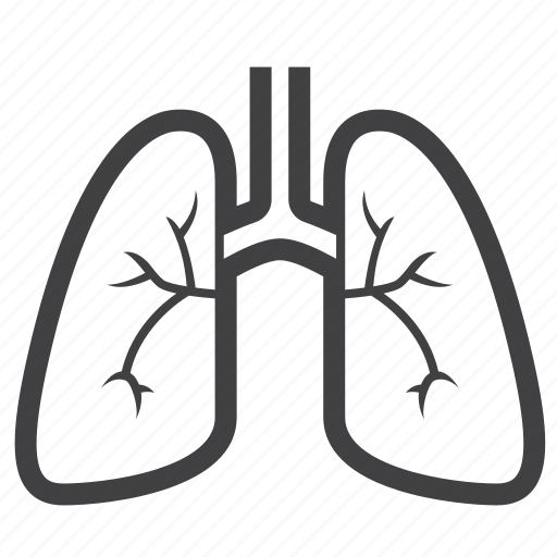 Body, breathe, healthy, hospital, lung, medical, organ icon - Download on Iconfinder