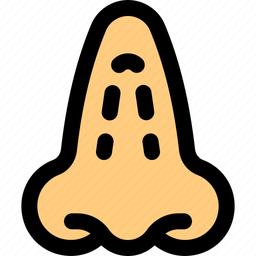 Nose, surgery, bodycare icon - Download on Iconfinder