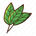 botanical, nature, plant, garden, leaf