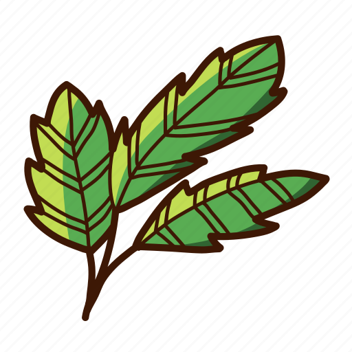 Botanical, nature, plant, garden, leaf icon - Download on Iconfinder