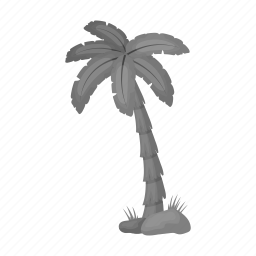 Beach, eco, nature, palm, plant, summer, tree icon - Download on Iconfinder