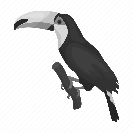 Animal, bird, exotic, nature, toucan, tree icon - Download on Iconfinder