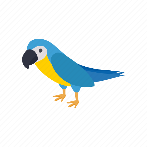 Bird, blue, brazil, isometric, nature, parrot, tropical icon - Download on Iconfinder