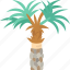 carnauba, palm, tree, tropical, plant 