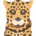 jaguar, jungle, wildlife, animal, amazon