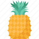 pineapple, fruit, fresh, food, tropical