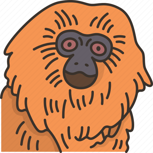 Tamarin, monkey, primate, wildlife, animal icon - Download on Iconfinder