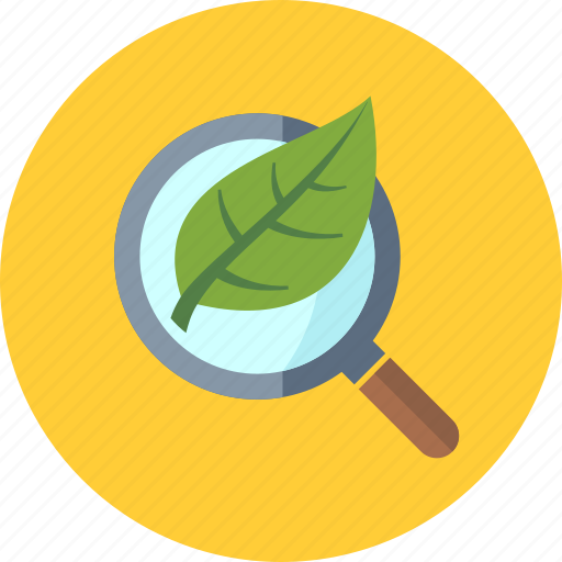 Magnifier, magnifying glass, organic seo icon - Download on Iconfinder