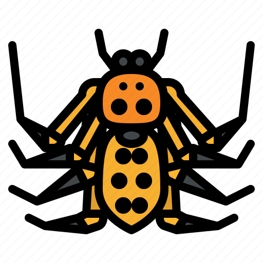 Platythomisus, xiandao, bug, insect, animal, spider icon - Download on Iconfinder