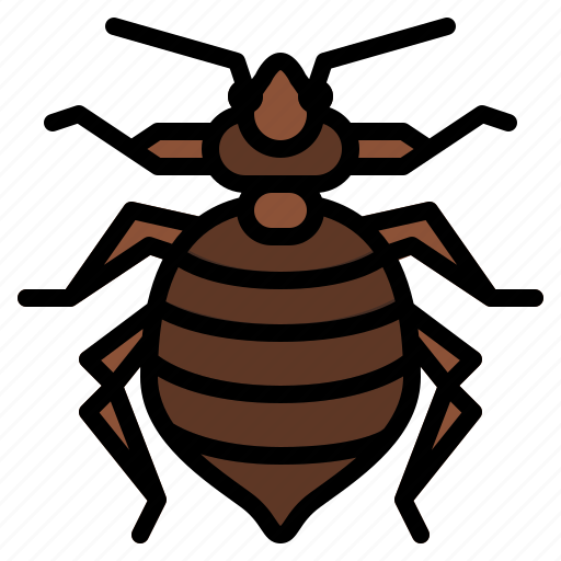 Bedbug, bug, insect, animal, nature icon - Download on Iconfinder