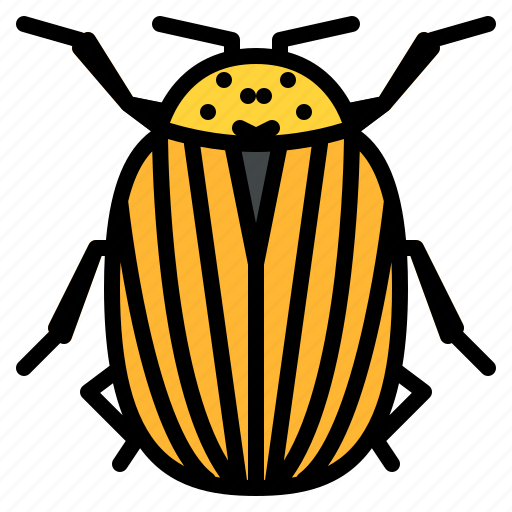 Colorado, potato, beetle, bug, insect, animal, nature icon - Download on Iconfinder