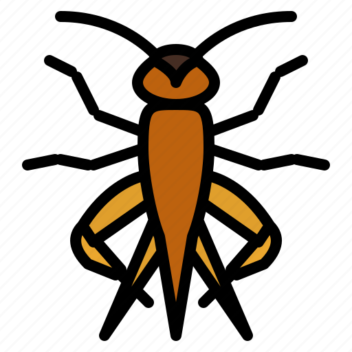 Cricket, bug, insect, animal, nature icon - Download on Iconfinder