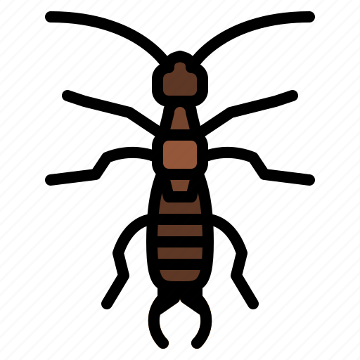Earwig, bug, insect, animal, nature icon - Download on Iconfinder
