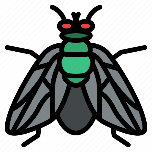 Fly, bug, insect, animal, nature icon - Download on Iconfinder