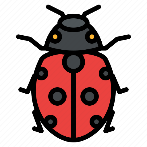 Ladybug, bug, insect, animal, nature icon - Download on Iconfinder