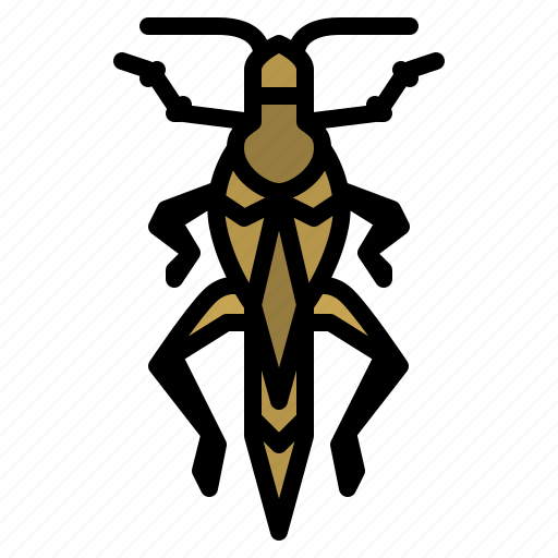 Locust, bug, insect, animal, nature icon - Download on Iconfinder