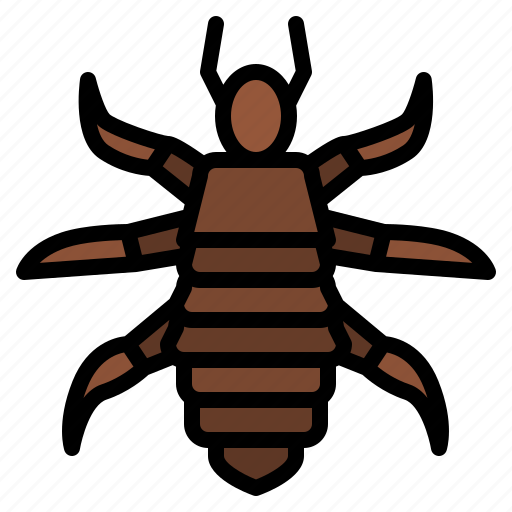 Louse, bug, insect, animal, nature icon - Download on Iconfinder