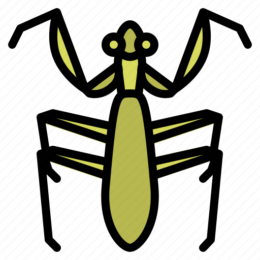 Mantis, bug, insect, animal, nature icon - Download on Iconfinder
