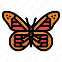 monarch, butterfly, bug, insect, animal