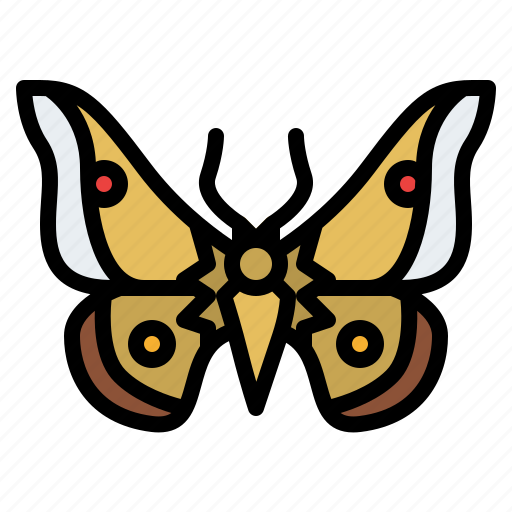 Moth, bug, insect, animal, nature icon - Download on Iconfinder