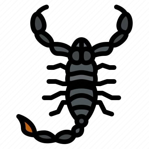 Scorpion, bug, insect, animal, nature icon - Download on Iconfinder