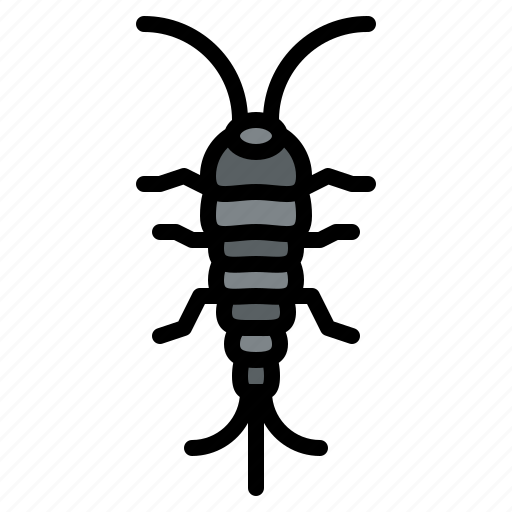 Silverfish, bug, insect, animal, nature icon - Download on Iconfinder