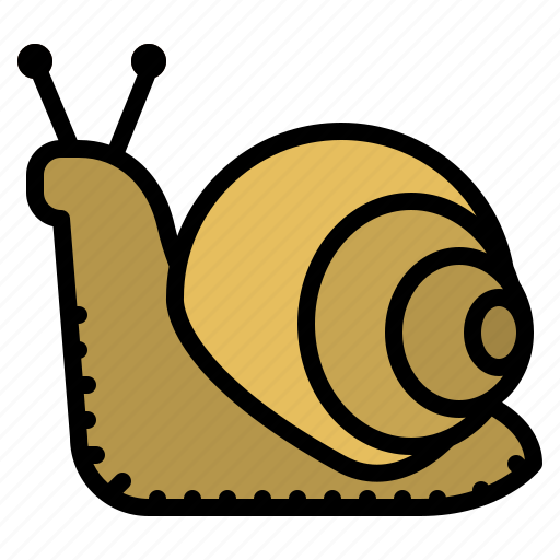 Snail, bug, insect, animal, nature icon - Download on Iconfinder