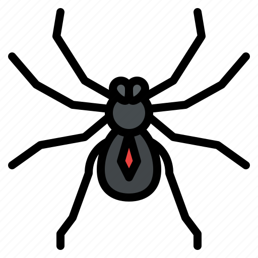 Spider, bug, insect, animal, nature icon - Download on Iconfinder