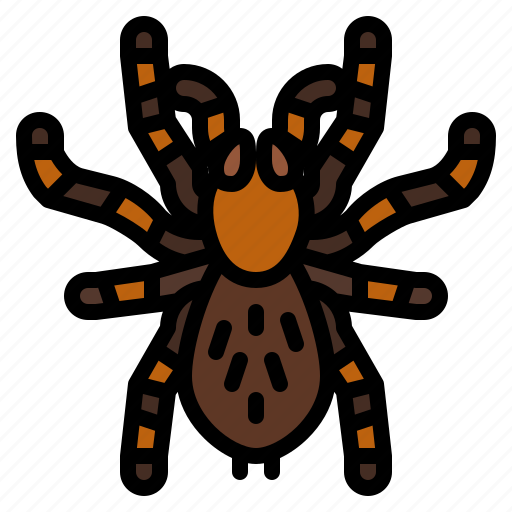Tarantula, spider, bug, insect, animal icon - Download on Iconfinder