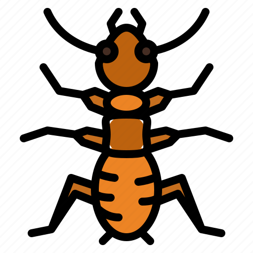 Termite, bug, insect, animal, nature icon - Download on Iconfinder
