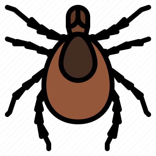 Tick, bug, insect, animal, nature icon - Download on Iconfinder