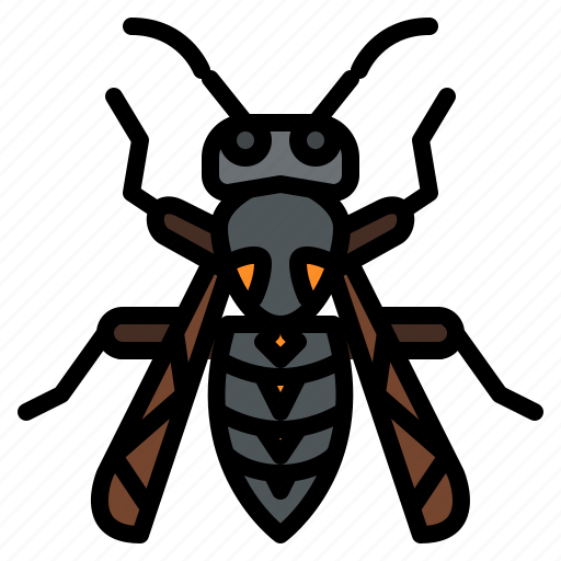 Wasp, bug, insect, animal, nature icon - Download on Iconfinder