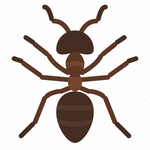 Ant, bug, insect, animal, nature icon - Download on Iconfinder