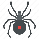 black, widow, spider, bug, insect, animal