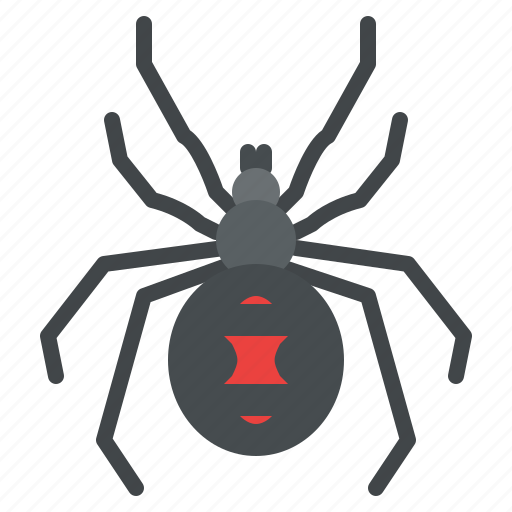 Black, widow, spider, bug, insect, animal icon - Download on Iconfinder