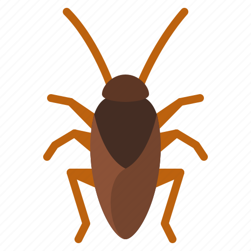 Cockroach, bug, insect, animal, nature icon - Download on Iconfinder