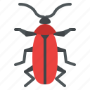 fire, colored, beetle, bug, insect, animal