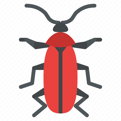 Fire, colored, beetle, bug, insect, animal icon - Download on Iconfinder