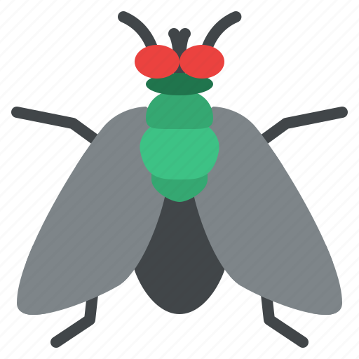 Fly, bug, insect, animal, nature icon - Download on Iconfinder
