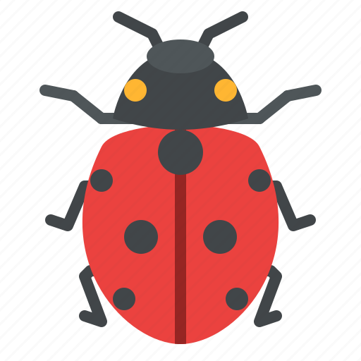 Ladybug, bug, insect, animal, nature icon - Download on Iconfinder