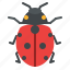 ladybug, bug, insect, animal, nature 