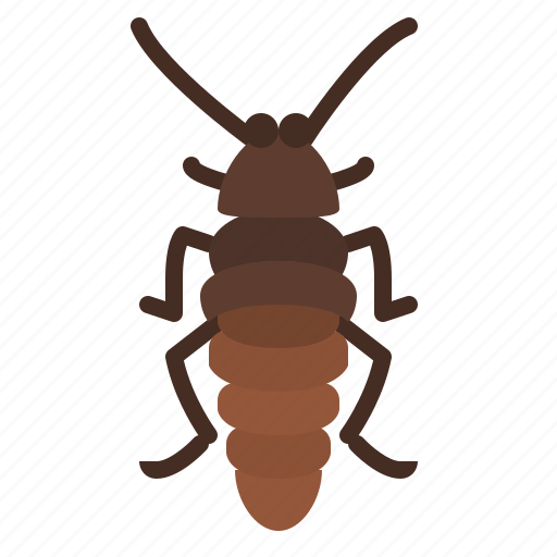 Madagascar, hissing, cockroach, bug, insect, animal, nature icon - Download on Iconfinder