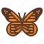 monarch, butterfly, bug, insect, animal 