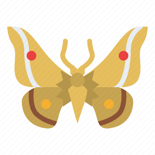 Moth, bug, insect, animal, nature icon - Download on Iconfinder
