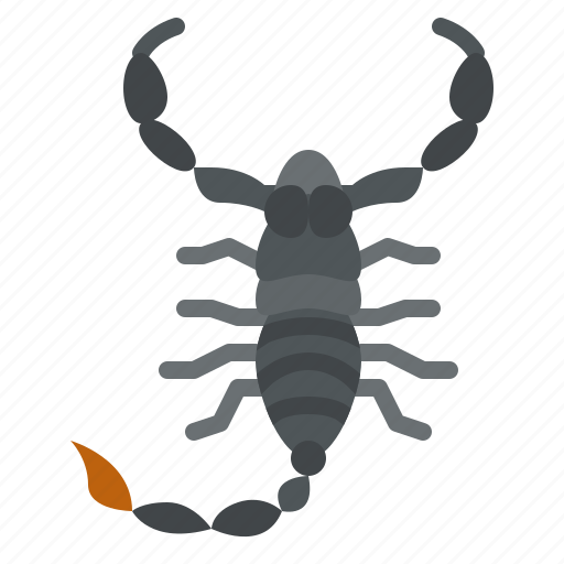 Scorpion, bug, insect, animal, nature icon - Download on Iconfinder