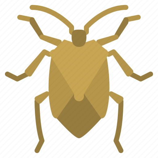Stinkbug, bug, insect, animal, nature icon - Download on Iconfinder
